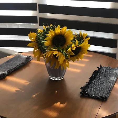 Deluxe In Center Apartment *